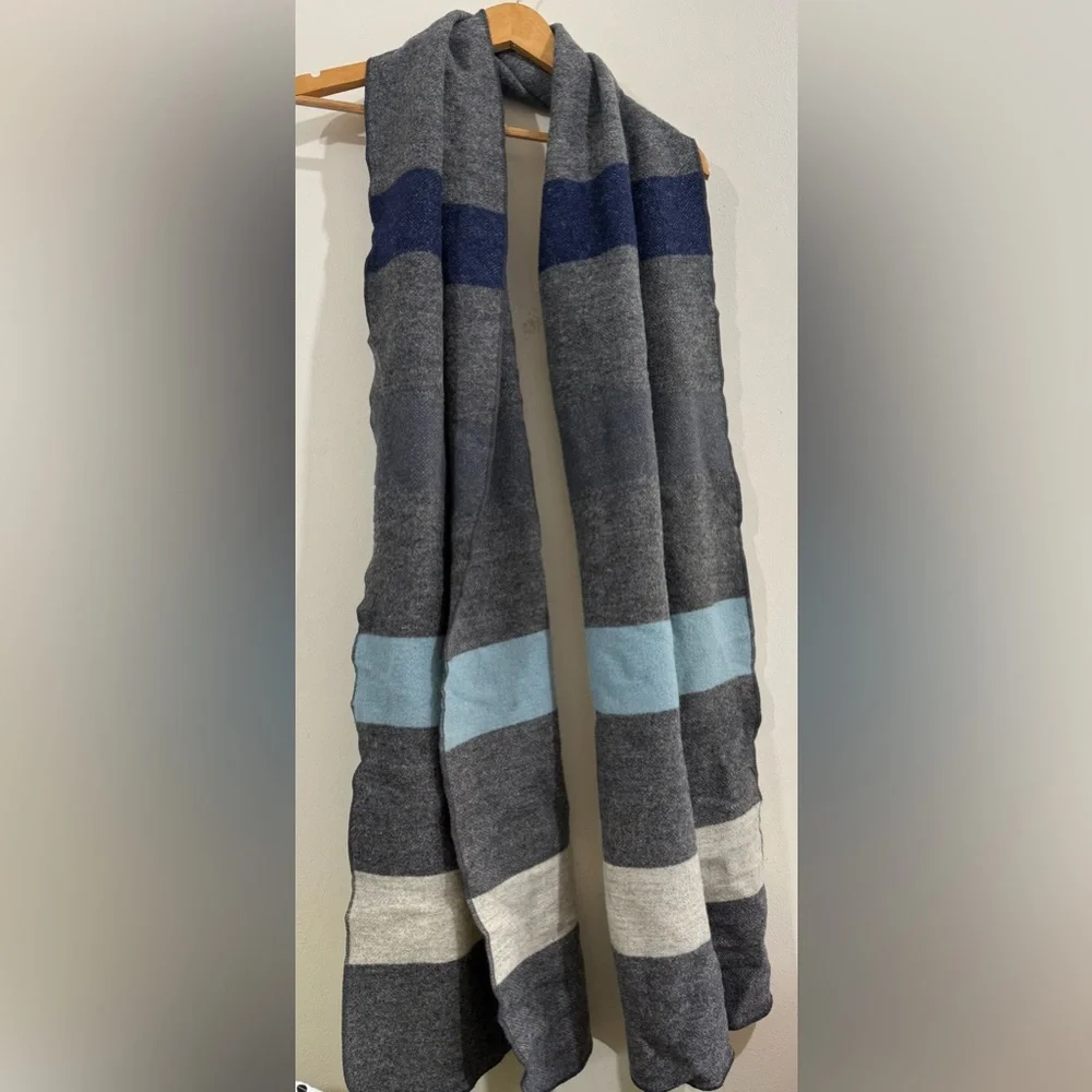 Steven Alan Gray and Blue Striped Scarf